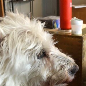 Meet your Posher, Margaret